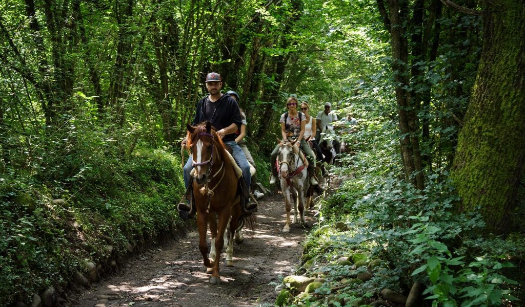 ippovia francigena escursioni a cavallo