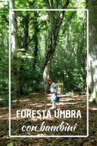 foresta umbra con bambini