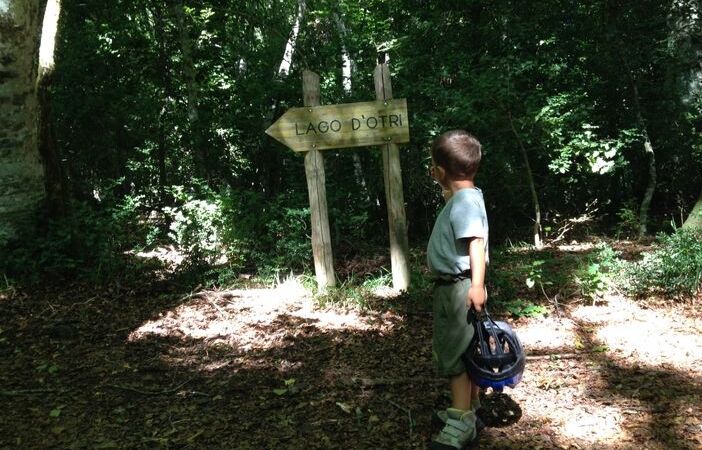 itinerari parco nazionale gargano foresta umbra