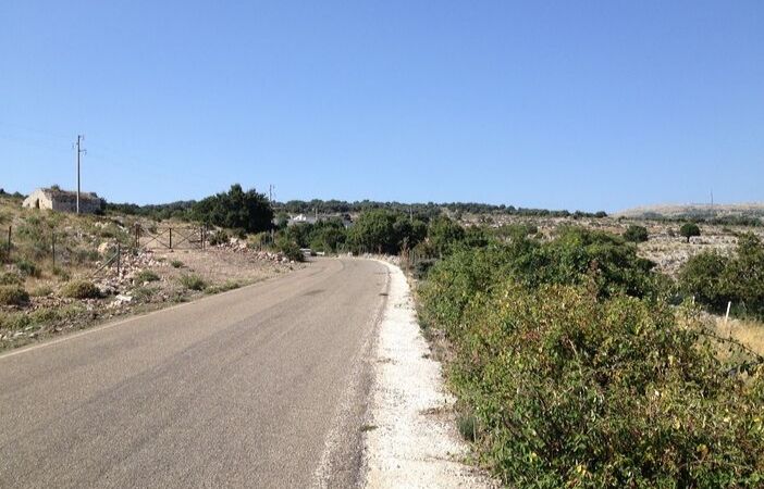 come arrivare alla foresta umbra