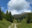 trekking anello mulat viezzena da bellamonte