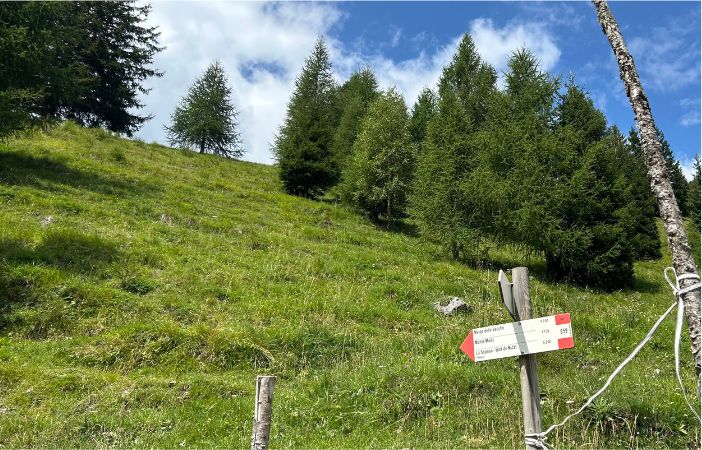 trekking poco conosciuti val di fiemme