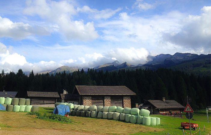 trekking da bellamonte val di fiemme